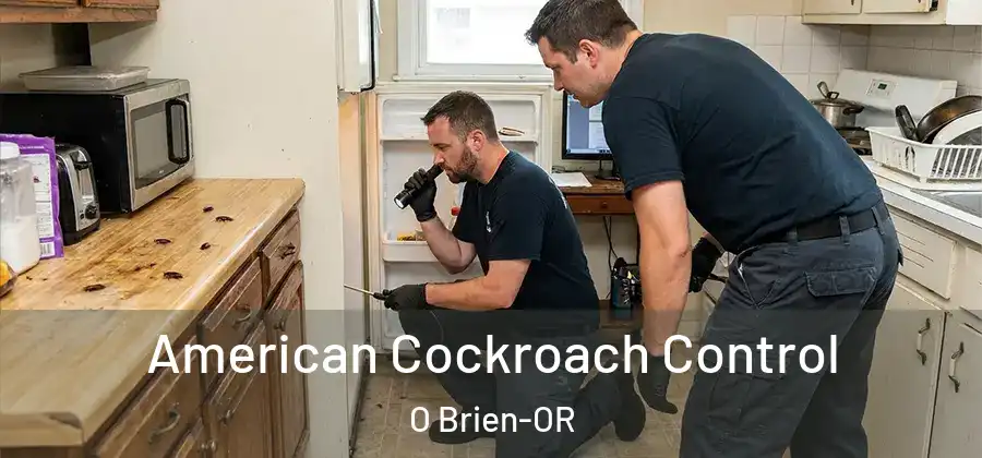 American Cockroach Control O Brien-OR