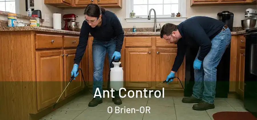 Ant Control O Brien-OR