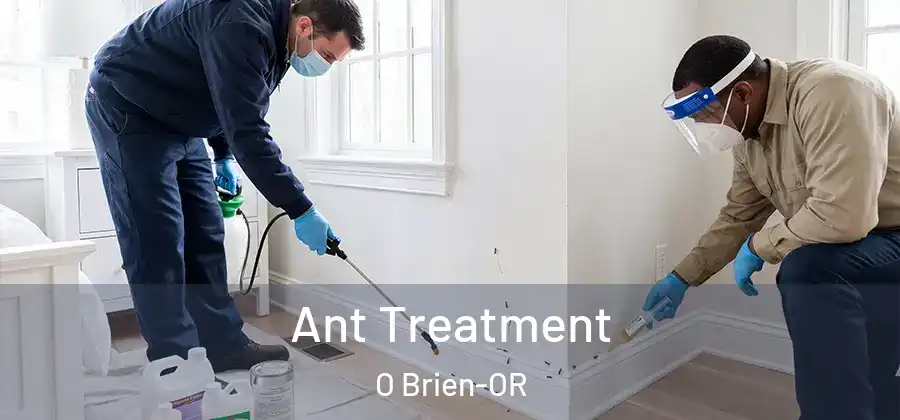 Ant Treatment O Brien-OR