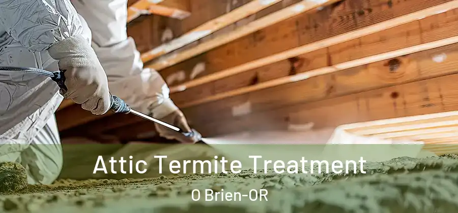 Attic Termite Treatment O Brien-OR