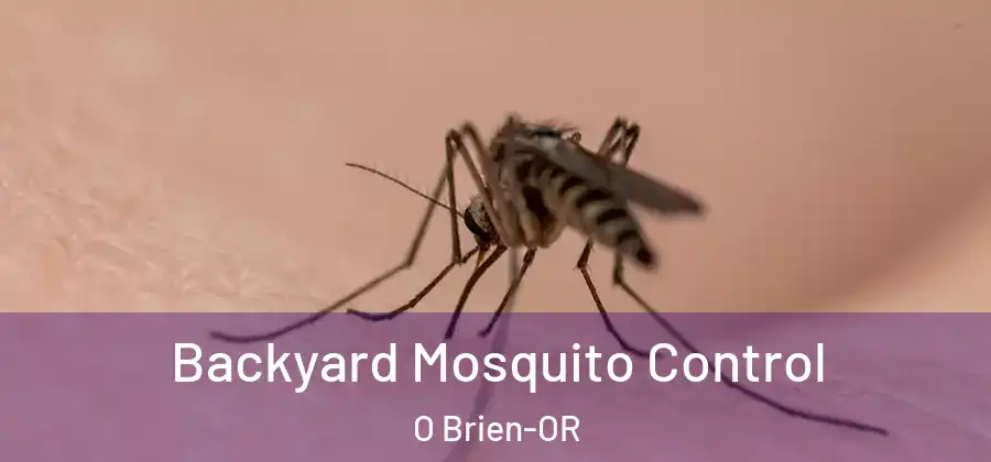 Backyard Mosquito Control O Brien-OR