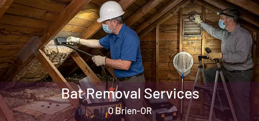 Bat Removal Services O Brien-OR