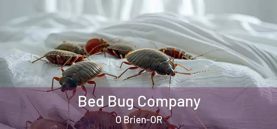 Bed Bug Company O Brien-OR