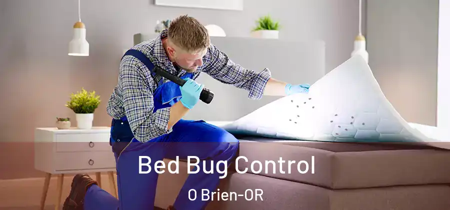 Bed Bug Control O Brien-OR