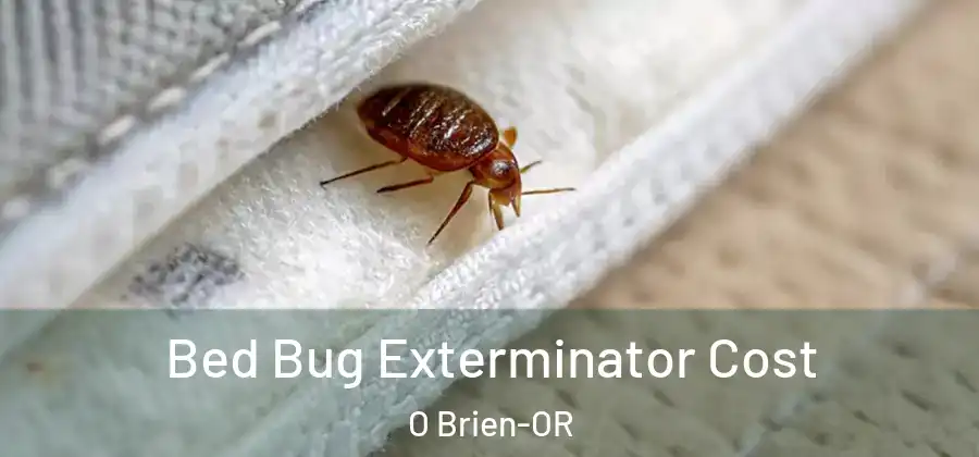 Bed Bug Exterminator Cost O Brien-OR