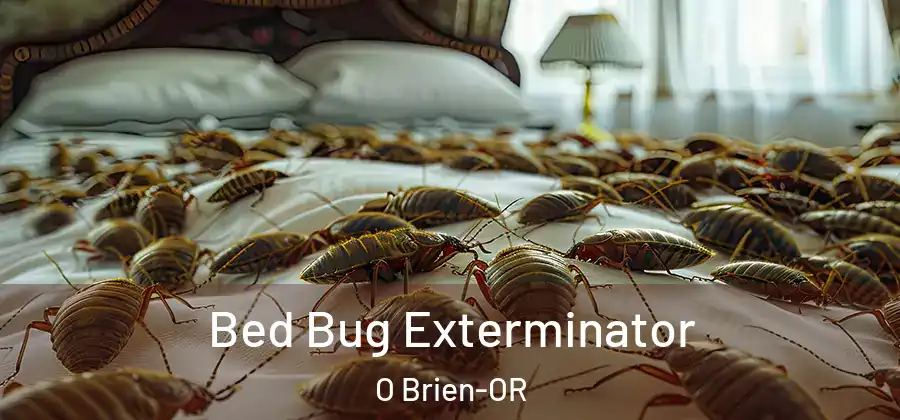 Bed Bug Exterminator O Brien-OR