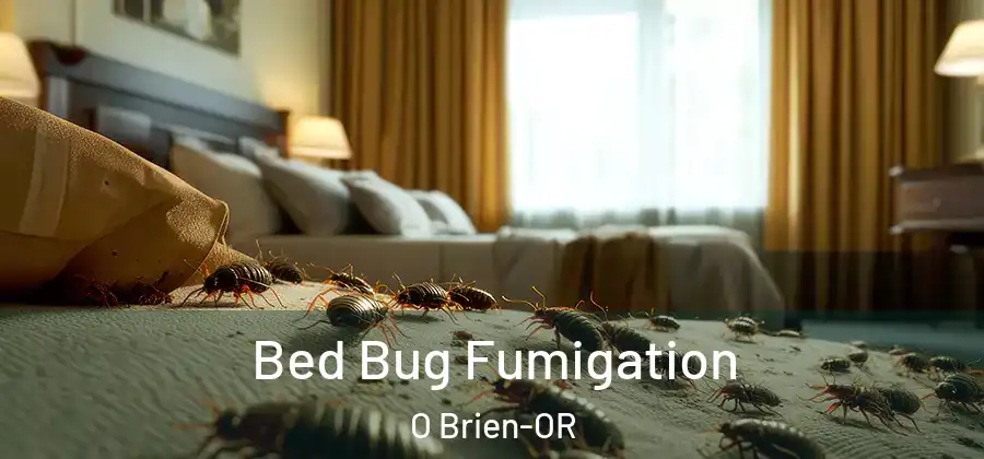  Bed Bug Fumigation O Brien-OR