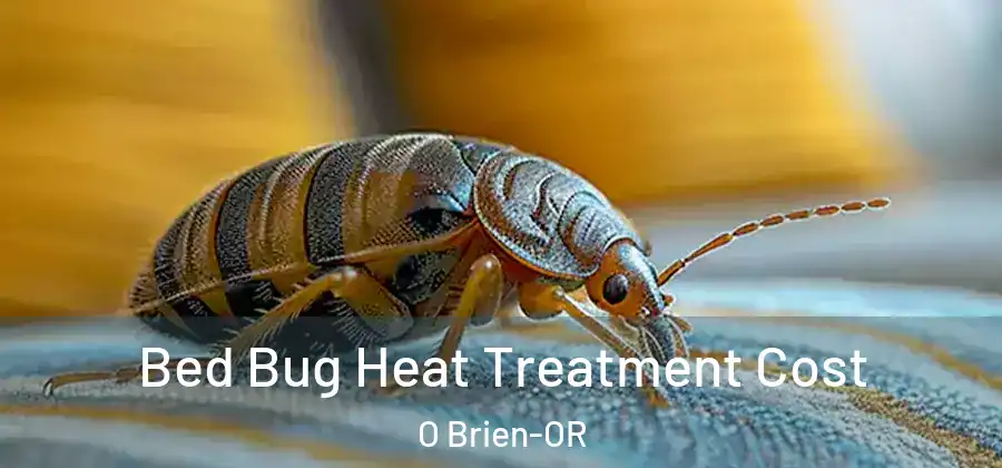 Bed Bug Heat Treatment Cost O Brien-OR