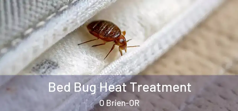 Bed Bug Heat Treatment O Brien-OR