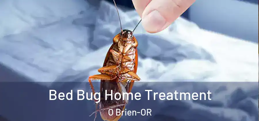 Bed Bug Home Treatment O Brien-OR