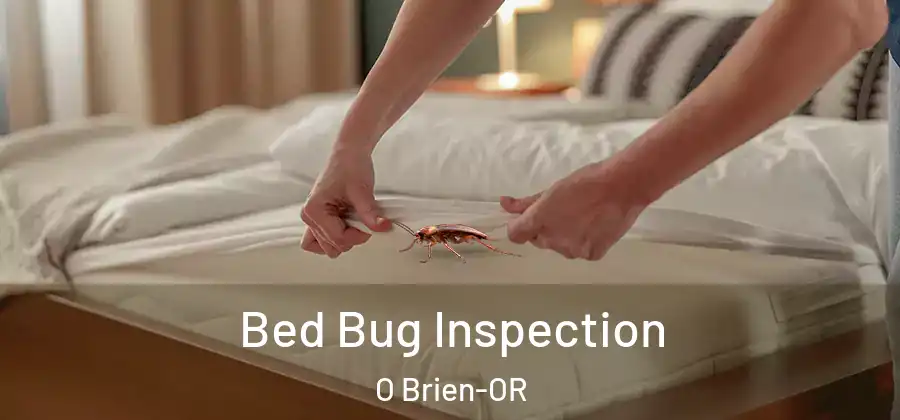Bed Bug Inspection O Brien-OR