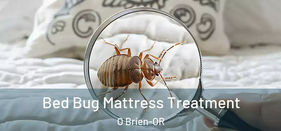 Bed Bug Mattress Treatment O Brien-OR