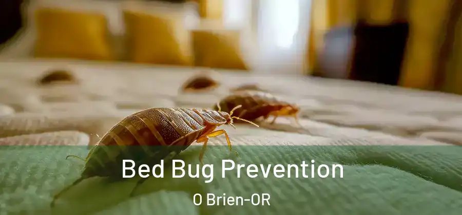 Bed Bug Prevention O Brien-OR