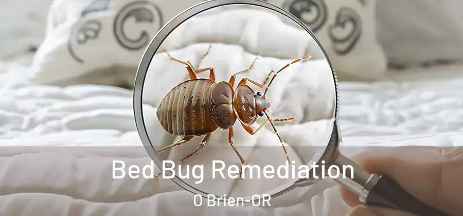 Bed Bug Remediation O Brien-OR