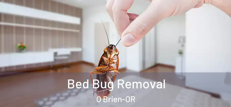 Bed Bug Removal O Brien-OR