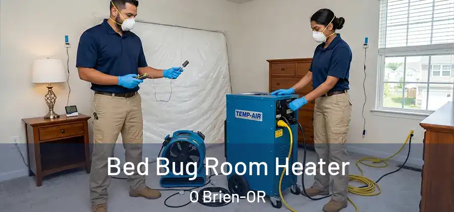 Bed Bug Room Heater O Brien-OR