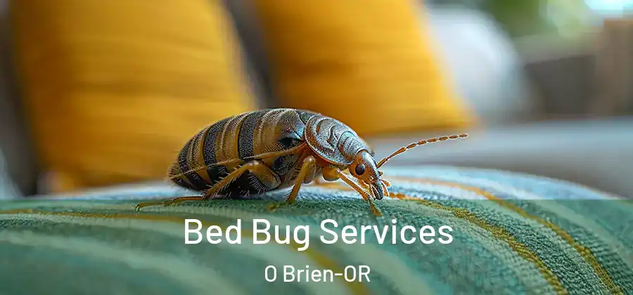 Bed Bug Services O Brien-OR