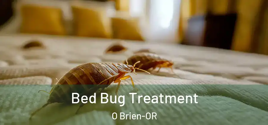 Bed Bug Treatment O Brien-OR