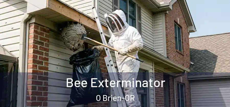 Bee Exterminator O Brien-OR