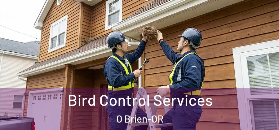 Bird Control Services O Brien-OR