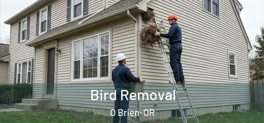  Bird Removal O Brien-OR
