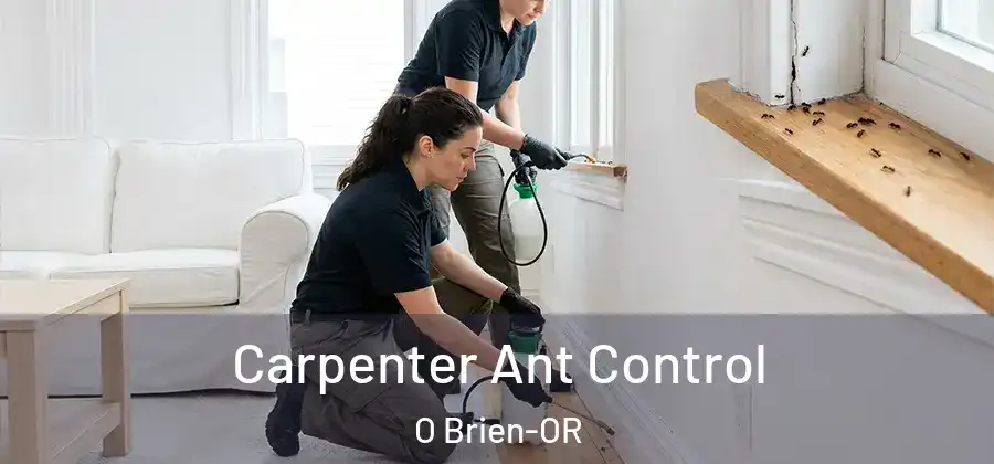  Carpenter Ant Control O Brien-OR