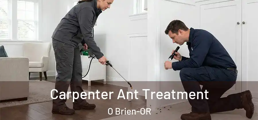 Carpenter Ant Treatment O Brien-OR