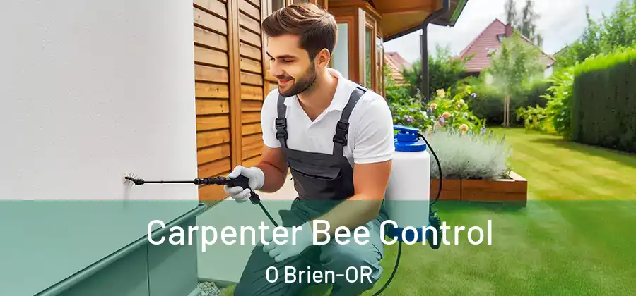 Carpenter Bee Control O Brien-OR