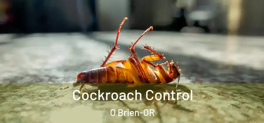Cockroach Control O Brien-OR