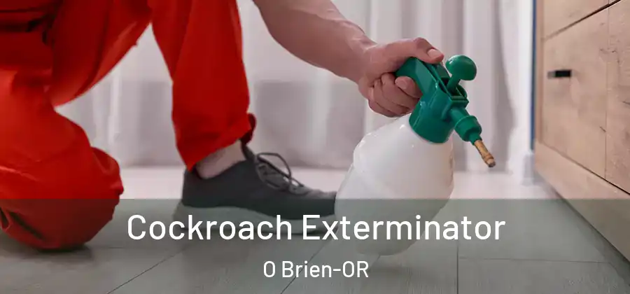 Cockroach Exterminator O Brien-OR