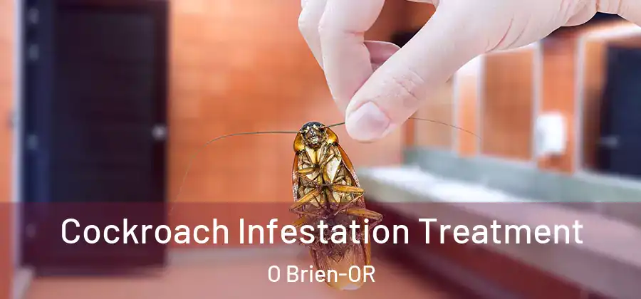 Cockroach Infestation Treatment O Brien-OR