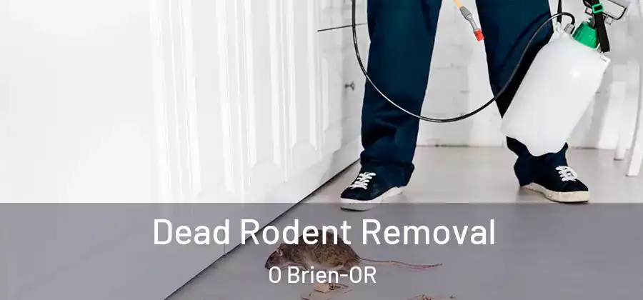 Dead Rodent Removal O Brien-OR