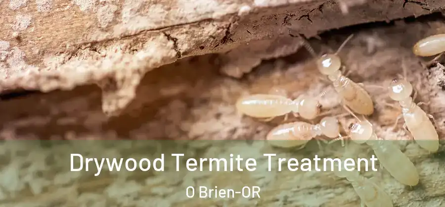 Drywood Termite Treatment O Brien-OR