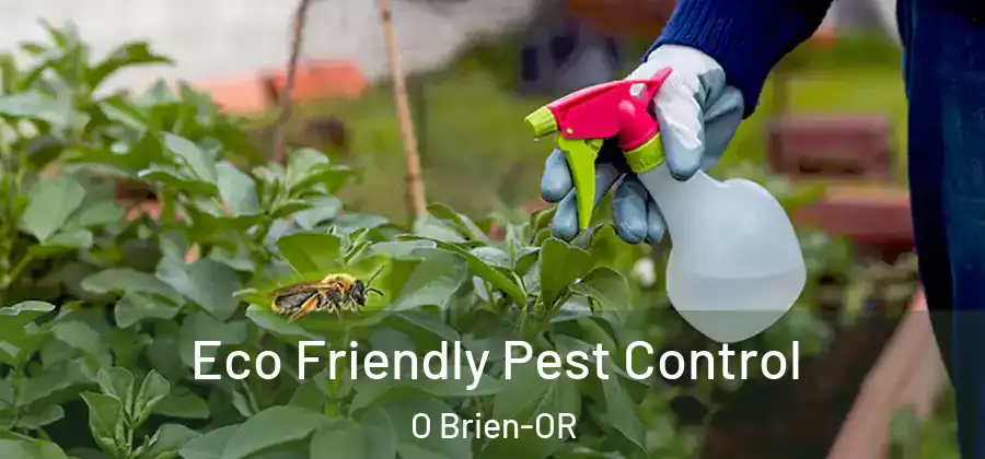 Eco Friendly Pest Control O Brien-OR