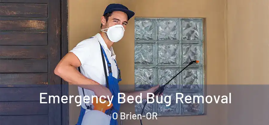 Emergency Bed Bug Removal O Brien-OR