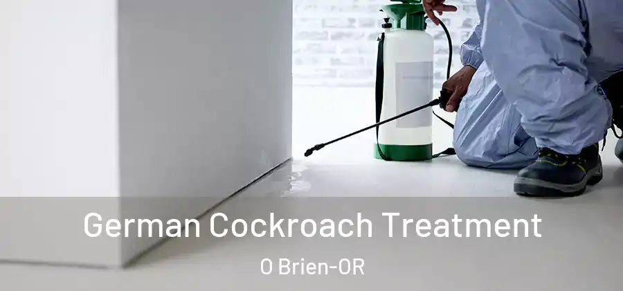 German Cockroach Treatment O Brien-OR