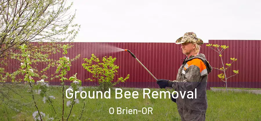 Ground Bee Removal O Brien-OR