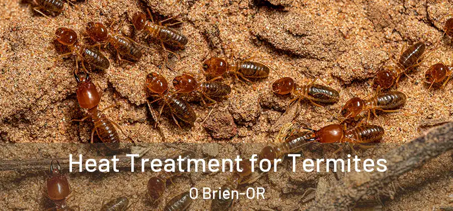 Heat Treatment for Termites O Brien-OR