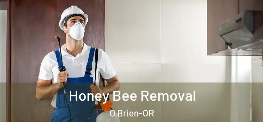 Honey Bee Removal O Brien-OR