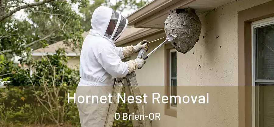 Hornet Nest Removal O Brien-OR