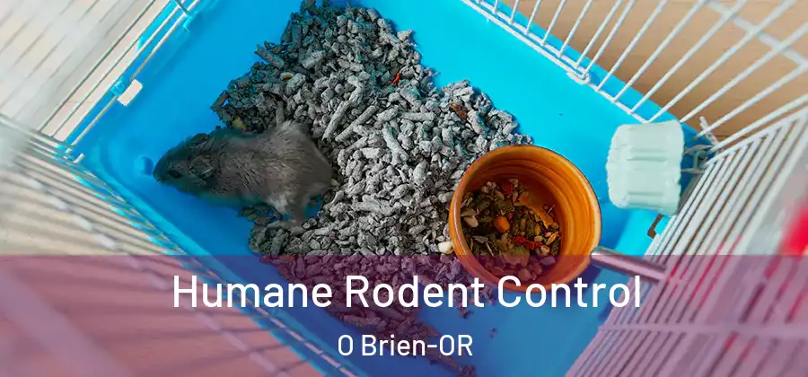 Humane Rodent Control O Brien-OR