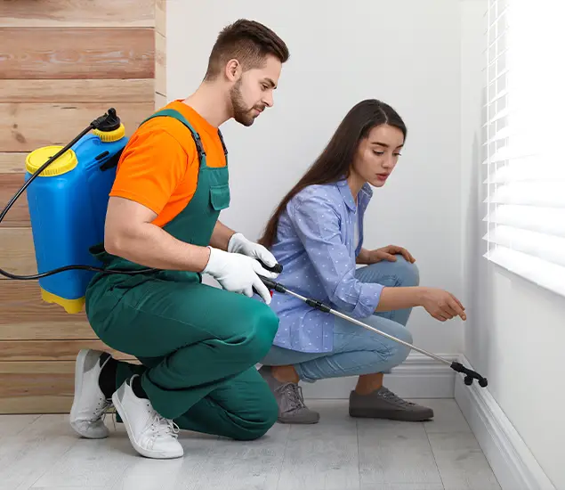 Trusted Affordable Bed Bug Treatment Experts in O Brien, OR