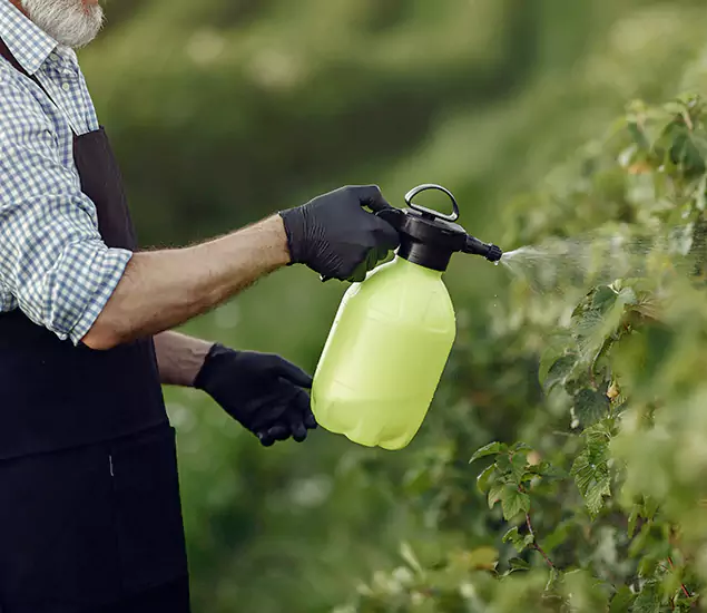 Your Proven Mosquito Treatment Company in O Brien, OR