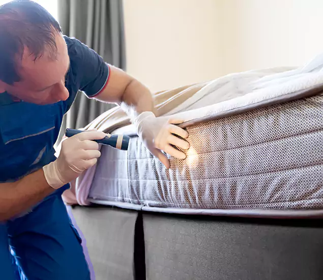Trusted Bed Bug Cost Experts in O Brien, OR