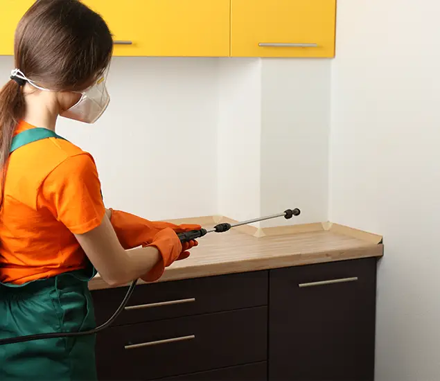 Trusted Bed Bug Pest Control Specialist in O Brien, OR