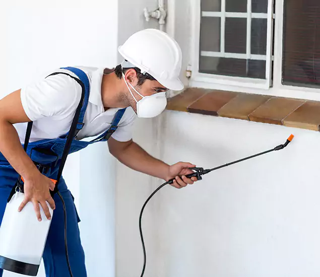 Your Professional Cockroach Exterminator in O Brien, OR
