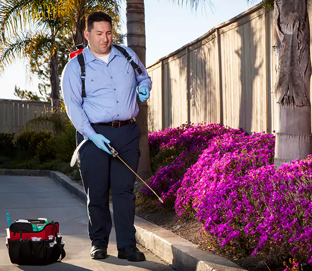 About Our Eco Safe Pest Control Experts in O Brien, OR