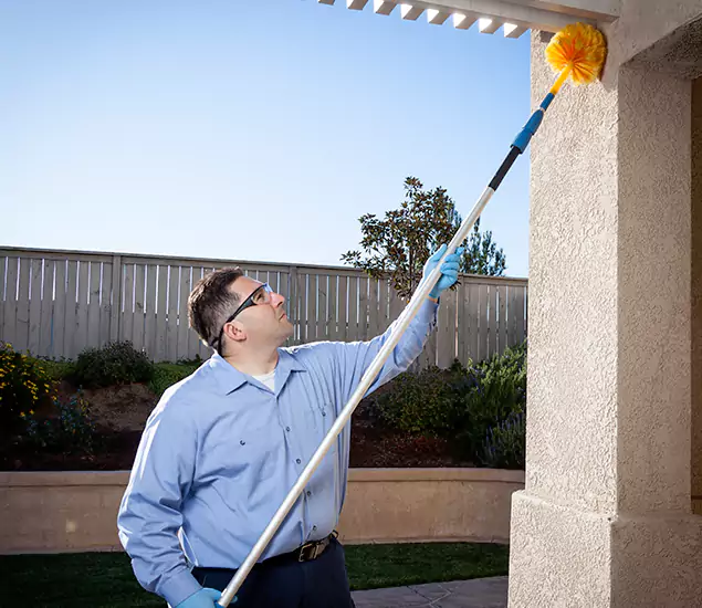 Trusted Experts in O Brien OR for Formosan Termite Treatment and Black Termite Control