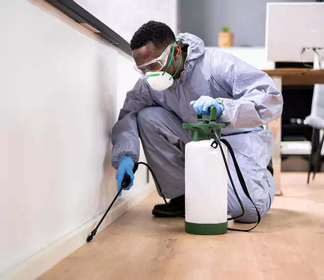 Leading Industrial Pest Control Experts Serving O Brien, OR