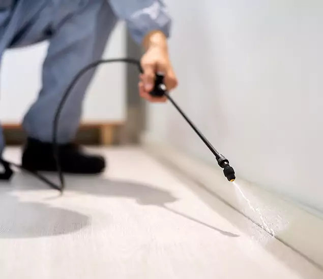 About Our Liquid Termite Treatment Experts in O Brien, OR